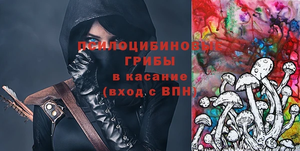 первитин Богданович