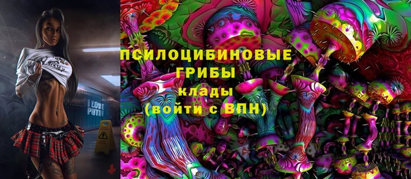первитин Богданович